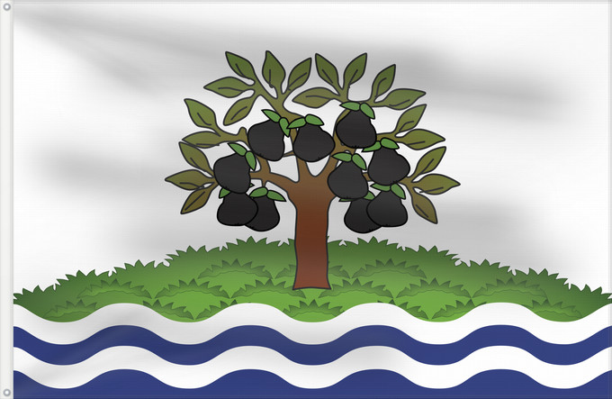 Flag, with two metal eyelets and reinforced hoist: Worcestershire