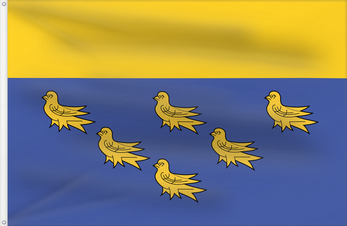 Bandiera, con due occhielli metallici e lato dell'asta rinforzato: West Sussex