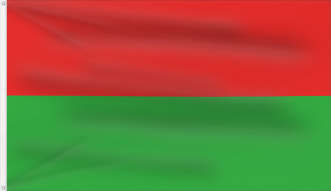 Flag, with two metal eyelets and reinforced hoist: D Himachal Pradesh Himachal Pradesh