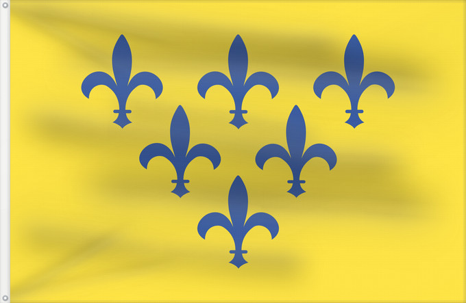Bandera, con dos ojales metálicos y lado del asta reforzado: Duchy of Parma	Duché de Parme	Ducado de Parma	Herzogtum Parma	Ducato di Parma e Piacenza	Bandêra dal Duchêt ed Pärma	Ducatus Parmae et Placentiae	Флаг Пармского герцогства	Dogado de Parma e Piacensa