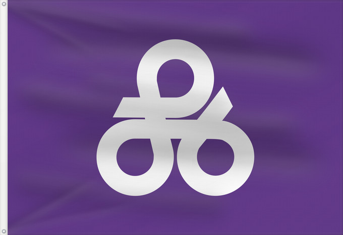 Flag, with two metal eyelets and reinforced hoist: Okinawa, Okinawa 沖縄市旗