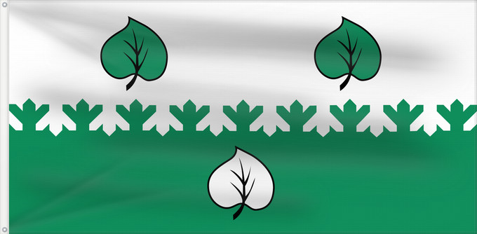 Flag, with two metal eyelets and reinforced hoist: Aloja City of Aloja, Latvia Alojas