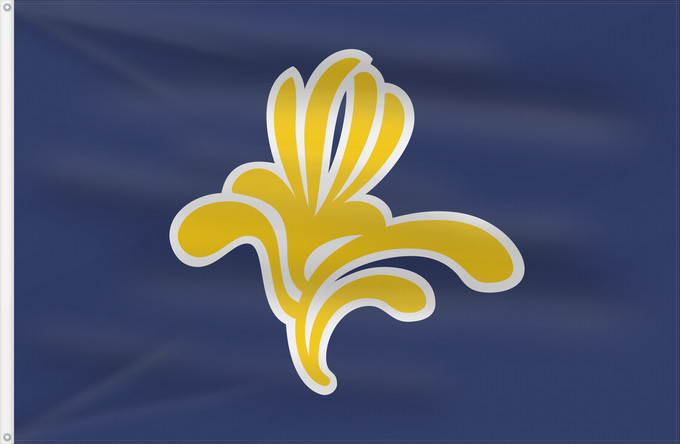 Drapeau, avec deux œillets métalliques et guindant renforcé : Brussels-Capital Region  1991–2015	Brussels-Capital Region between 1991 and 2015	Brüssel	Bruselas	Bruxelles	Fändel vun der Haaptstadregioun Bréissel	Прапор Брюсселю