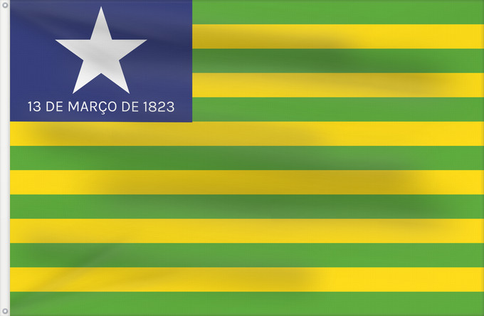 Flag, with two metal eyelets and reinforced hoist: Piauí