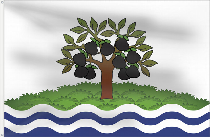 Drapeau, avec deux œillets métalliques et guindant renforcé : Worcestershire