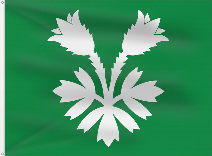 Bandera, con dos ojales metálicos y lado del asta reforzado: Oppland	Former county of Oppland, Norway	comté d’Oppland