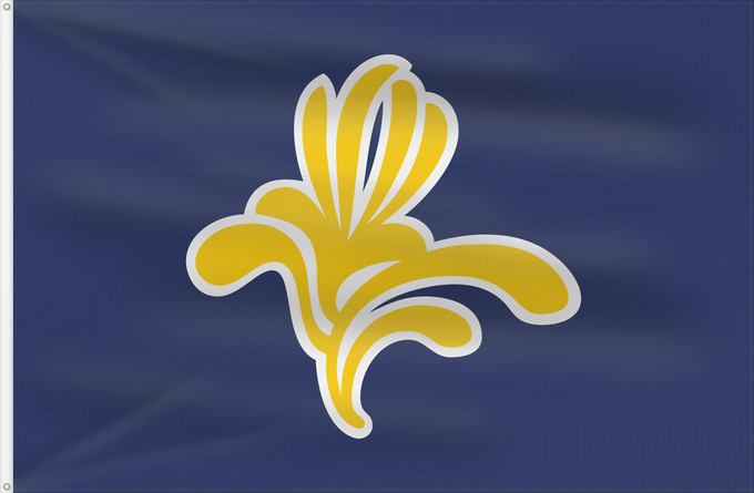 Drapeau, avec deux œillets métalliques et guindant renforcé : Brussels-Capital Region  1991–2015	Brussels-Capital Region between 1991 and 2015	Brüssel	Bruselas	Bruxelles	Fändel vun der Haaptstadregioun Bréissel	Прапор Брюсселю