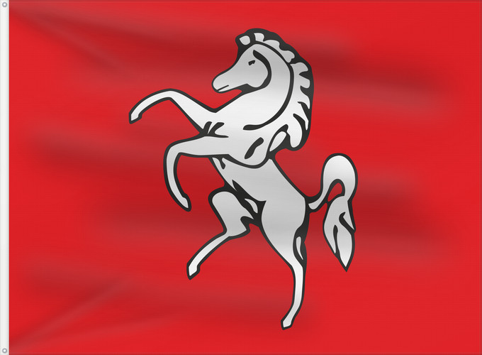 Bandera, con dos ojales metálicos y lado del asta reforzado: Kent	County of Kent