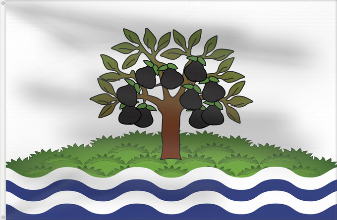 Flag, with two metal eyelets and reinforced hoist: Worcestershire