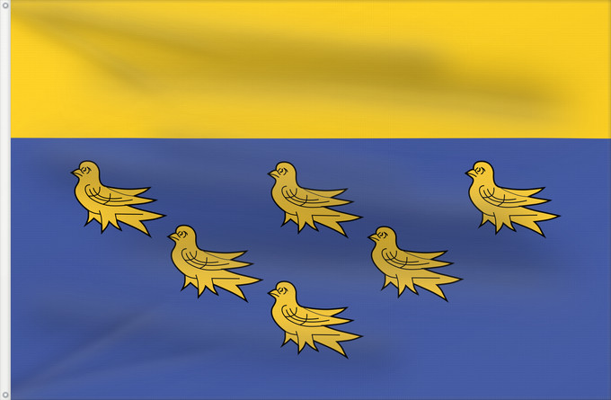 Flag, with two metal eyelets and reinforced hoist: West Sussex