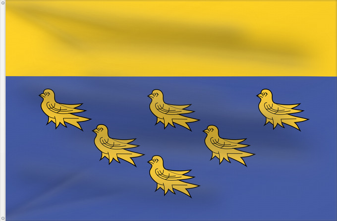 Flag, with two metal eyelets and reinforced hoist: West Sussex