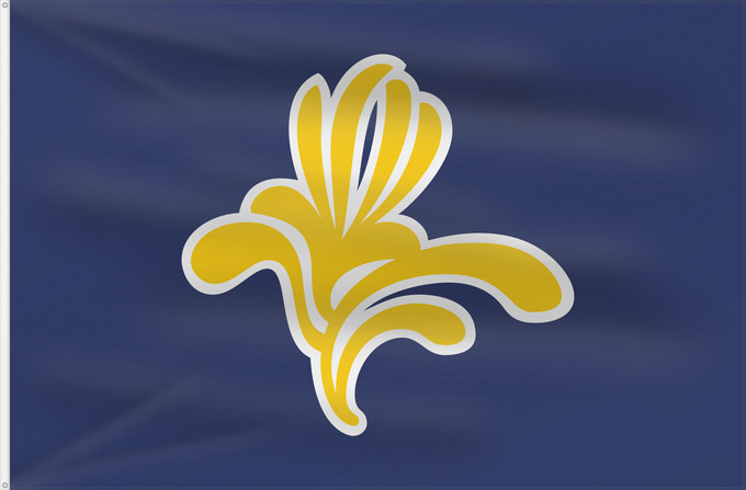 Bandera, con dos ojales metálicos y lado del asta reforzado: Brussels-Capital Region 1991–2015 Brussels-Capital Region between 1991 and 2015 Brüssel Bruselas Bruxelles Fändel vun der Haaptstadregioun Bréissel Прапор Брюсселю