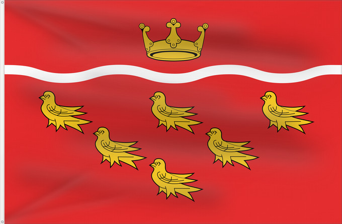 Bandera, con dos ojales metálicos y lado del asta reforzado: East Sussex