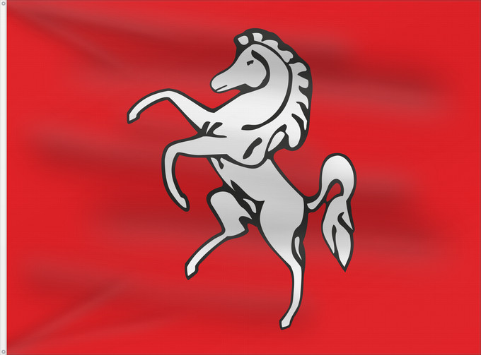 Bandera, con dos ojales metálicos y lado del asta reforzado: Kent	County of Kent