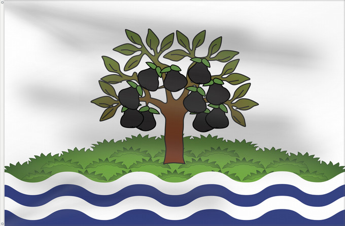 Flag, with two metal eyelets and reinforced hoist: Worcestershire