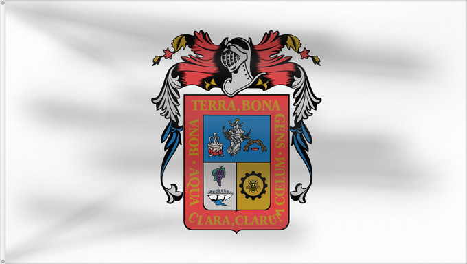 Bandiera, con due occhielli metallici e lato dell'asta rinforzato: Aguascalientes De facto flag of Aguascalientes Aguascaliente Aquarum Caldarum Īpān Aguascalientes