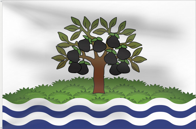 Flag, with two metal eyelets and reinforced hoist: Worcestershire