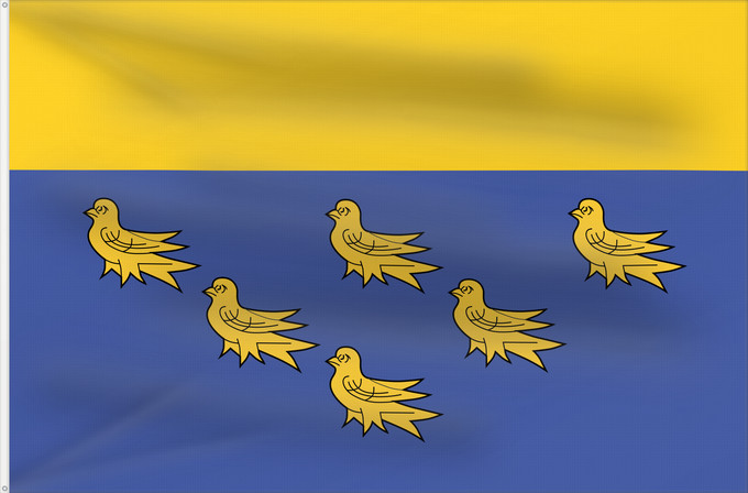 Flag, with two metal eyelets and reinforced hoist: West Sussex