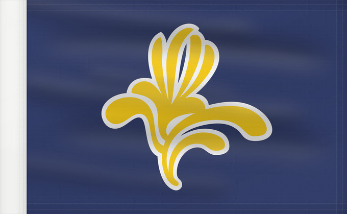 Bandera, con lado del asta reforzado: Brussels-Capital Region  1991–2015	Brussels-Capital Region between 1991 and 2015	Brüssel	Bruselas	Bruxelles	Fändel vun der Haaptstadregioun Bréissel	Прапор Брюсселю