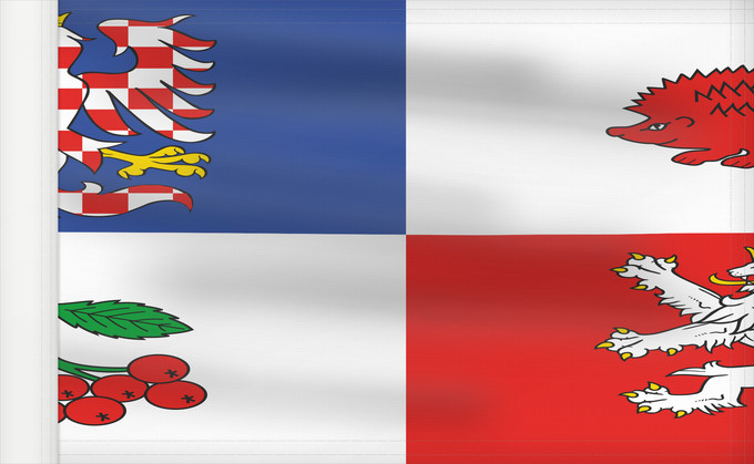Drapeau, avec guindant renforcé : Vysocina Region	Vysočina Region	Région de Vysočina	Región de Vysočina	Region Vysočina