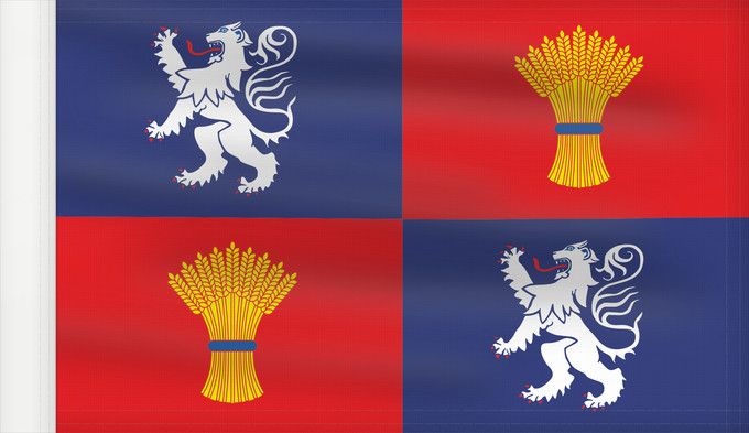 Flagge, mit verstärktem Besatzband: Gascogne	French province of Gascogne	Armorié de Gascogne	Las armas de Gasconha