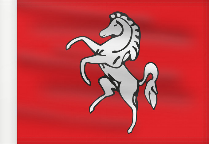 Bandera, con lado del asta reforzado: Kent County of Kent