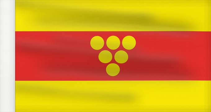 Flag, with reinforced hoist: Negotino Municipality, North Macedonia	Negotino Municipality, Macedonia	Municipalité de Negotino	Municipio de Negotino	Gemeinde Negotino	Comune di Negotino	Знаме на Општина Неготино