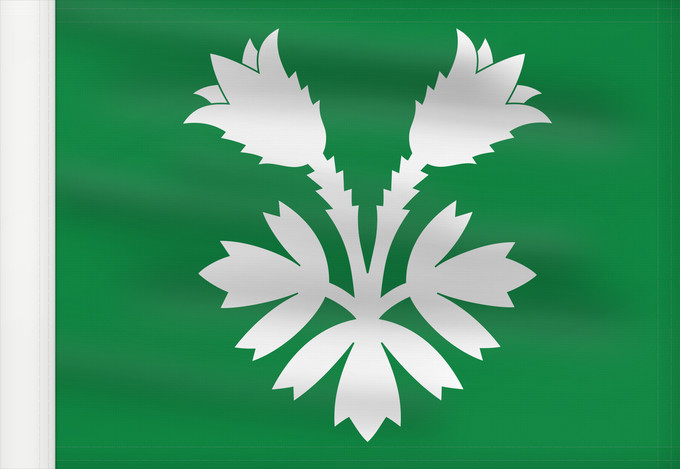 Bandera, con lado del asta reforzado: Oppland	Former county of Oppland, Norway	comté d’Oppland