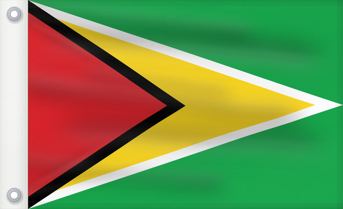 Flag, with two metal eyelets and reinforced hoist: Guyana Guiana Wayana wiphala Gujano Gwayana Wayana unancha Флаг Гайаны Guyanas Quốc kỳ Guyana