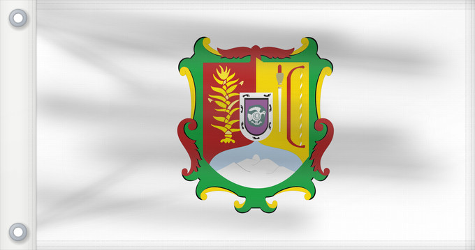 Flag, with two metal eyelets and reinforced hoist: Nayarit