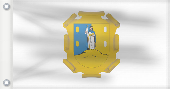 Drapeau, avec deux œillets métalliques et guindant renforcé : San Luis Potosi San Luis Potosí