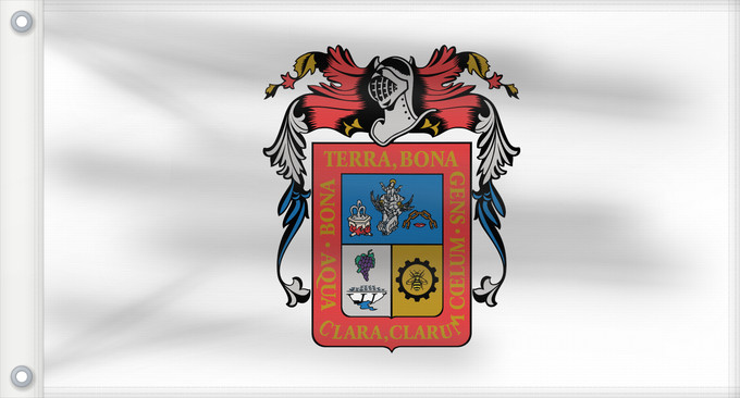 Flag, with two metal eyelets and reinforced hoist: Aguascalientes De facto flag of Aguascalientes Aguascaliente Aquarum Caldarum Īpān Aguascalientes