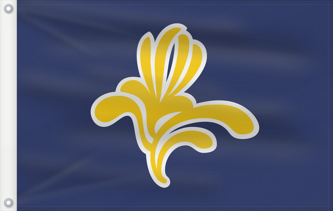 Drapeau, avec deux œillets métalliques et guindant renforcé : Brussels-Capital Region 1991–2015 Brussels-Capital Region between 1991 and 2015 Brüssel Bruselas Bruxelles Fändel vun der Haaptstadregioun Bréissel Прапор Брюсселю