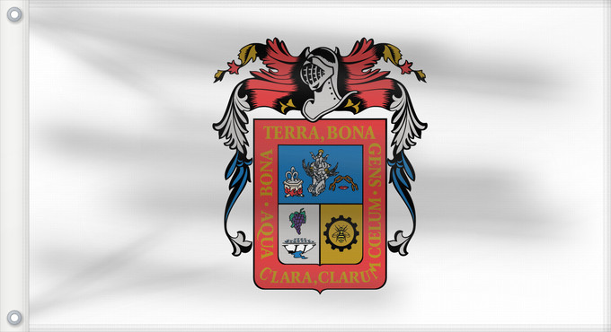 Flag, with two metal eyelets and reinforced hoist: Aguascalientes De facto flag of Aguascalientes Aguascaliente Aquarum Caldarum Īpān Aguascalientes