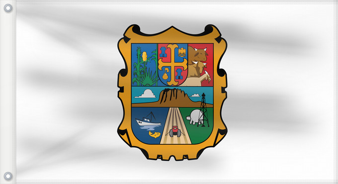 Drapeau, avec deux œillets métalliques et guindant renforcé : Tamaulipas