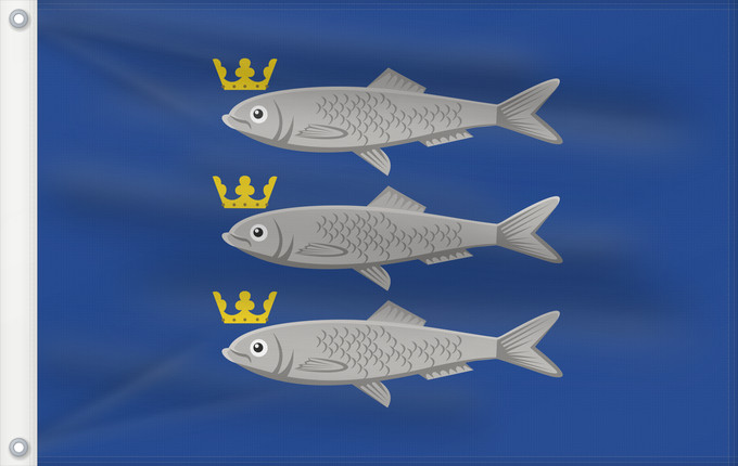 Flag, with two metal eyelets and reinforced hoist: Scheveningen