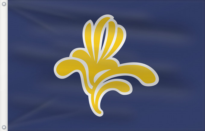 Drapeau, avec deux œillets métalliques et guindant renforcé : Brussels-Capital Region 1991–2015 Brussels-Capital Region between 1991 and 2015 Brüssel Bruselas Bruxelles Fändel vun der Haaptstadregioun Bréissel Прапор Брюсселю