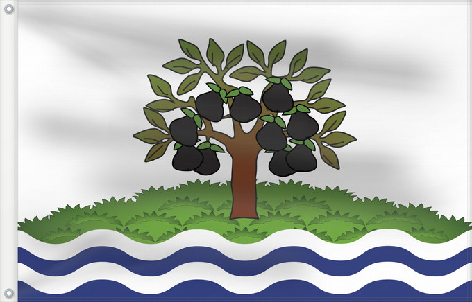 Flag, with two metal eyelets and reinforced hoist: Worcestershire