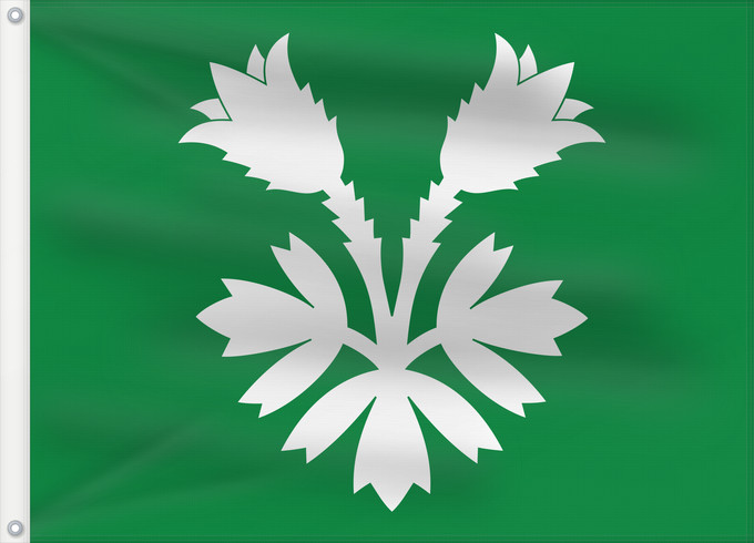 Drapeau, avec deux œillets métalliques et guindant renforcé : Oppland	Former county of Oppland, Norway	comté d’Oppland