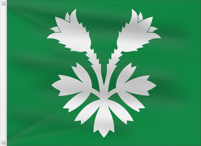 Bandera, con dos ojales metálicos y lado del asta reforzado: Oppland	Former county of Oppland, Norway	comté d’Oppland