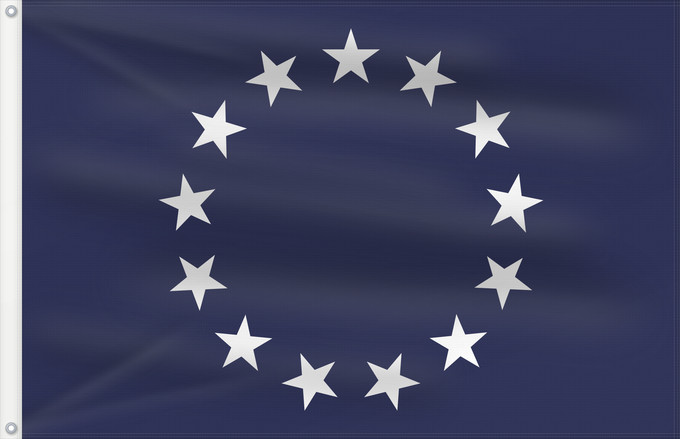 Flagge, mit zwei Metallösen und verstärktem Besatzband: United States Foreign Service Officer	Flag of a United States Foreign Service Officer	The official flag for an officer of the United States Foreign Service