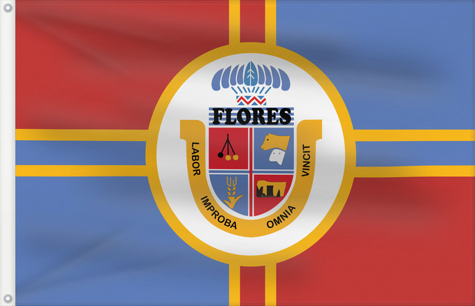 Drapeau, avec deux œillets métalliques et guindant renforcé : Flores Department	Flores