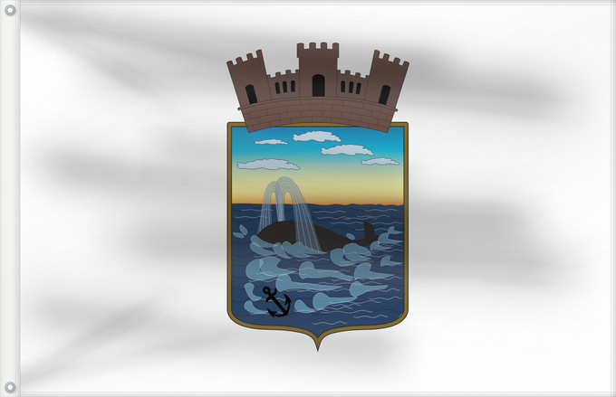 Drapeau, avec deux œillets métalliques et guindant renforcé : Maldonado Department Maldonado
