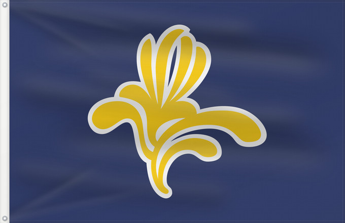 Drapeau, avec deux œillets métalliques et guindant renforcé : Brussels-Capital Region  1991–2015	Brussels-Capital Region between 1991 and 2015	Brüssel	Bruselas	Bruxelles	Fändel vun der Haaptstadregioun Bréissel	Прапор Брюсселю