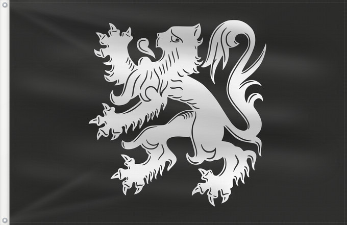 Bandera, con dos ojales metálicos y lado del asta reforzado: Asse	Municipal flag of Asse, Belgium