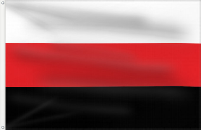 Flagge, mit zwei Metallösen und verstärktem Besatzband: Partit Llibertat Bielorus Belarusian Freedom Party Parti de la Liberté de Biélorussie Partido de la Libertad de Bielorrusia Freiheitspartei von Belarus Partito della Libertà bielorusso Partit de la Llibertat Bielorus
