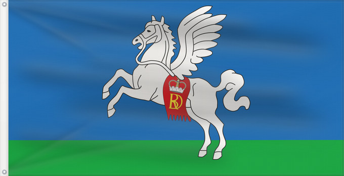 Flagge, mit zwei Metallösen und verstärktem Besatzband: Słucak	Slutsk, Belarus	Slutsk	Sluzk	Сьцяг Слуцку, Беларусь