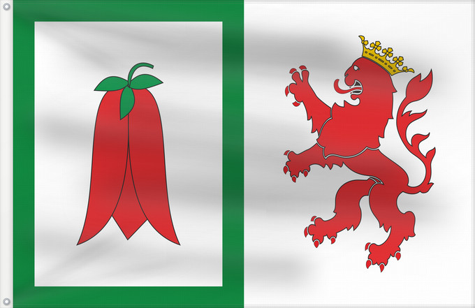 Flag, with two metal eyelets and reinforced hoist: Arauco	Arauco, Chile