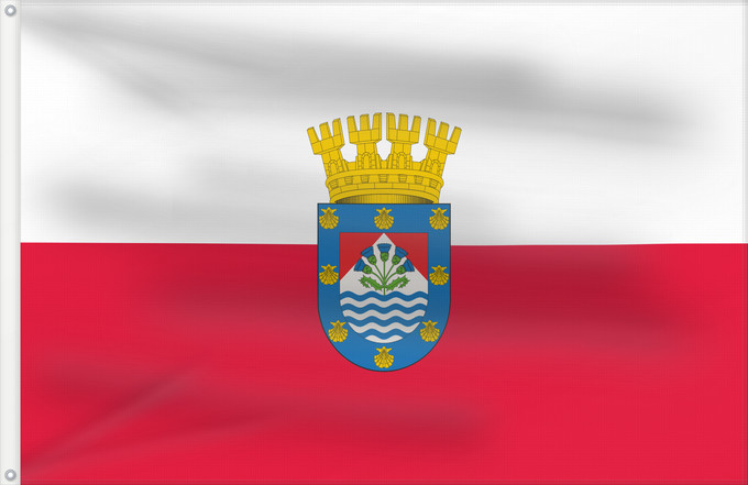 Flag, with two metal eyelets and reinforced hoist: Renca	Renca, Chile