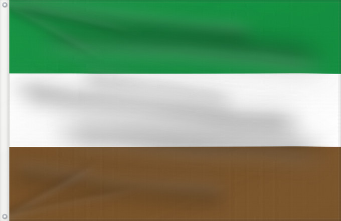 Bandera, con dos ojales metálicos y lado del asta reforzado: Arauquita Arauca Arauquita Municipio de Arauquita Arauca